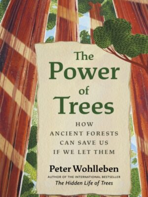 The Power of Trees